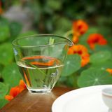  Chén Tống Bướm Phong Lan 