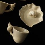  Set Tách Conch 