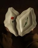  Đĩa Hoa Snowdrop 