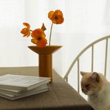  Bình Gốm Ikebana Morandi 