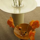  Bình Gốm Ikebana Morandi 