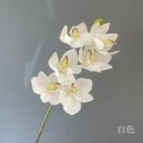  Cành Hoa Địa Lan Cao Cấp 