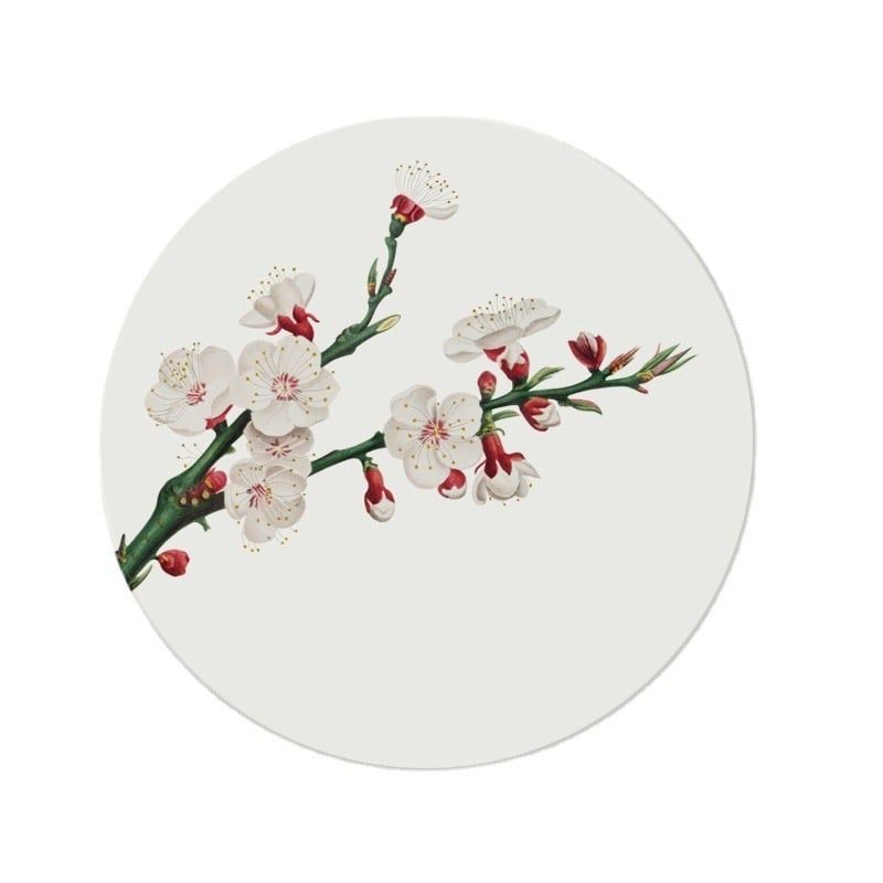  Đế Lót Cốc Flowers 