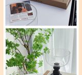  Ly Thuỷ Tinh, Gỗ Sồi Pháp Retro 