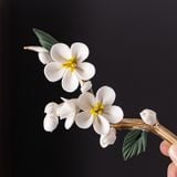  Đốt Trầm Hoa Mai 