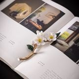  Đốt Trầm Hoa Mai 