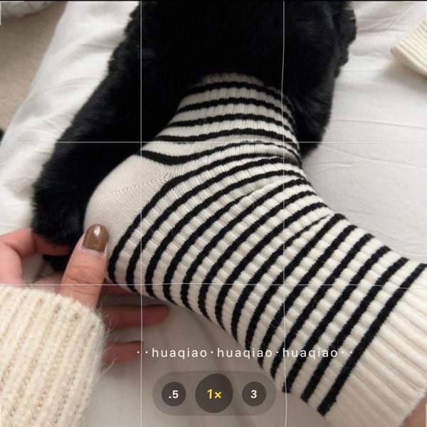  Tất Len ​​Thỏ Sọc Cổ Điển 