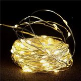  Dây Đèn Led + Điều Khiển Decor 