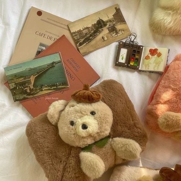  Túi Sưởi Điện Gấu Nâu Cổ Điển 