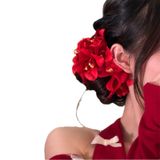  Kẹp Tóc Đôi Hoa Lan 