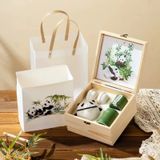  Gift Box Set Trà Gấu Trúc 