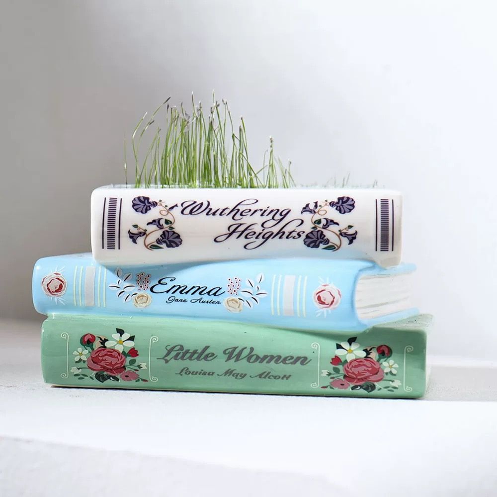  Bình Sách Little Woman 