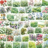  Set 50 Miếng Dán Dễ Thương 