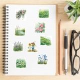  Set 50 Miếng Dán Dễ Thương 