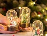  Chụp Đèn Cây Thông Và Người Tuyết 