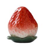  Hũ Đựng Trà Dâu Tây 