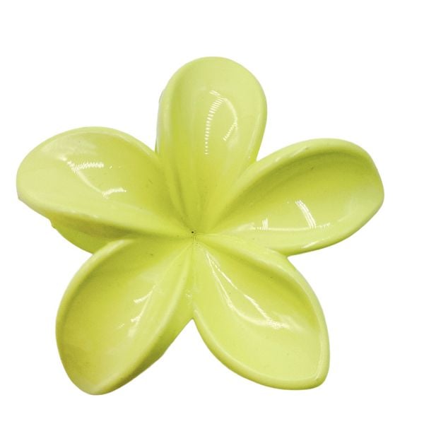  Kẹp Hoa Sứ Pastel 