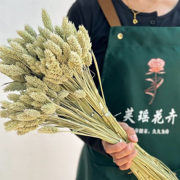  Hoa Khô Cỏ Tự Nhiên 