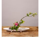  Thuyền Ikebana 