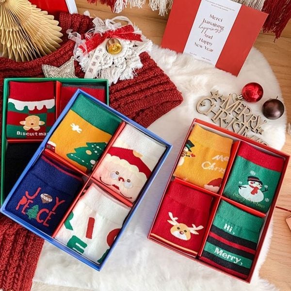  Set 4 Tất Ha&Ta Rabbit Kèm Hộp 