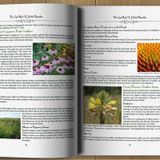  Sách The Lost Book Of Herbal Remedies 