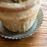  Khay Tròn Đa Năng Kiểu Retro 