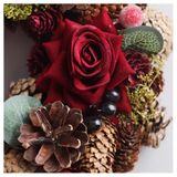  Vòng Thông Hoa Hồng 