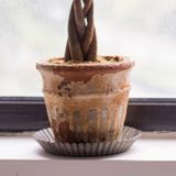  Khay Tròn Đa Năng Kiểu Retro 