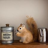  Sóc Nâu Trang Trí Cây Thông 