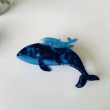  Kẹp Tóc Biển Cả 