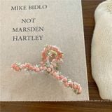  Kẹp Tóc Vườn Hồng 