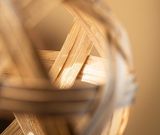  Bóng Tre (Đồ Chơi Của Boss) 