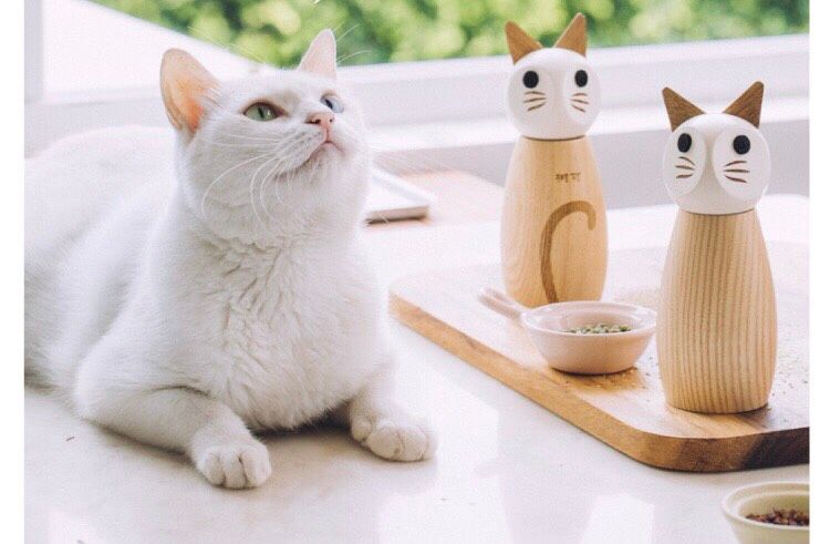 Xay Tiêu Mèo, Cáo 