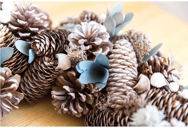  Vòng Thông Dài Tuyết 