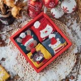  Set 4 Tất Kèm Hộp 