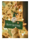 Biển Merry Xanh Trắng Đỏ 