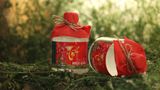  Nước Cất Mùi Già 