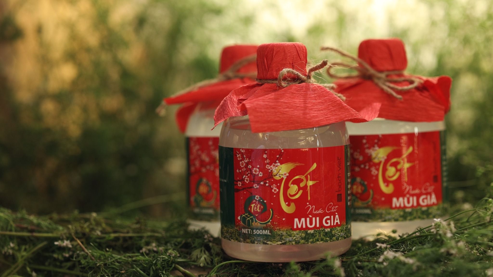  Nước Cất Mùi Già 