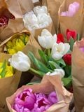 (SAIGON) Hoa Tulip Hà Lan 8/3 