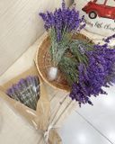  Bó Hoa Tươi Lavender 8/3 