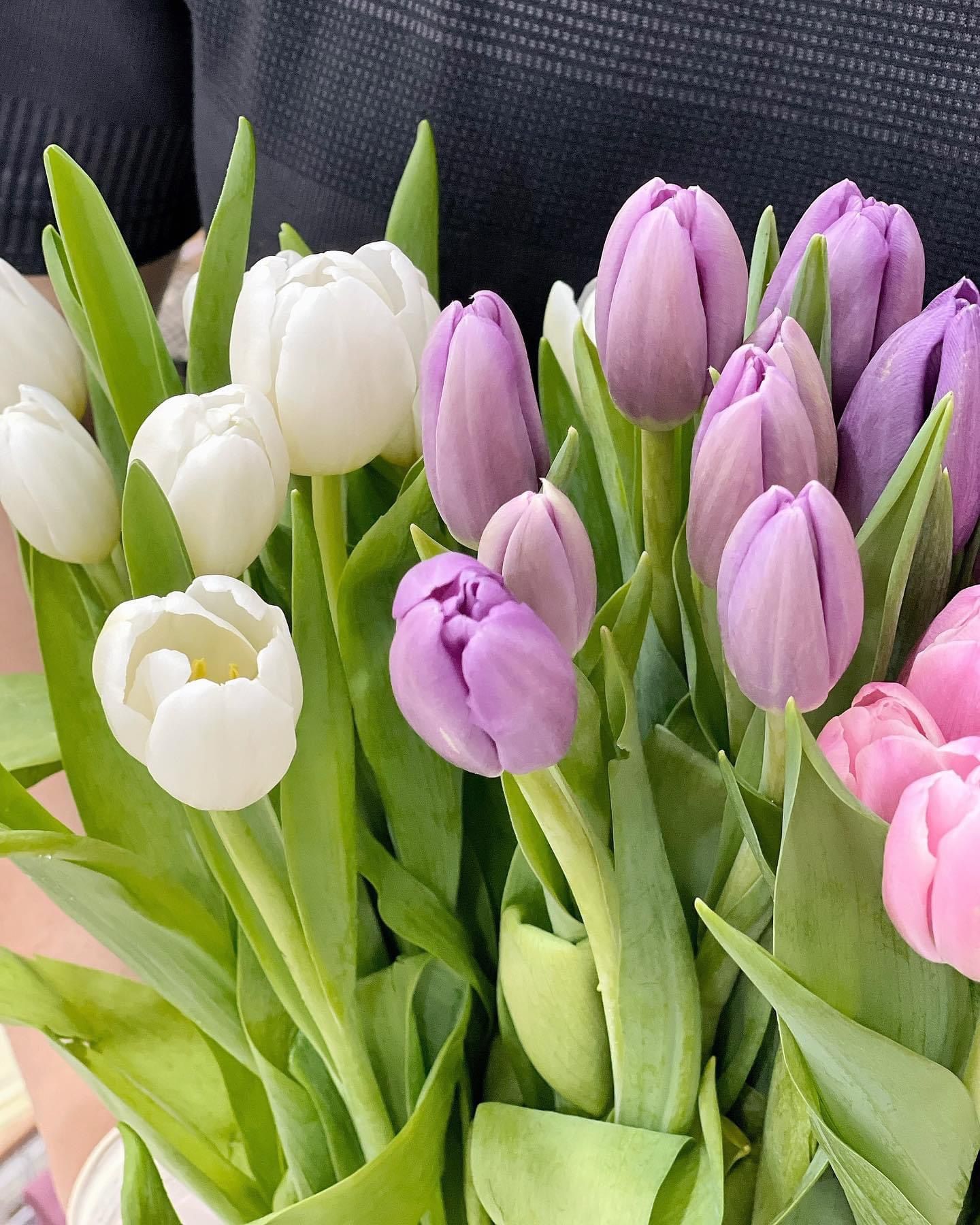  Hộp Hoa Tulip Tươi 1 Bông 8/3 