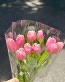  Bìa Trái Tim Đính Hoa 20/10 