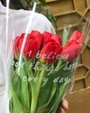  (SAIGON) Hoa Tulip Hà Lan 8/3 