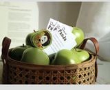  Kẹp Giấy Panda 
