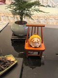  Trang Trí Bàn Trà Nhím Sầu Riêng 