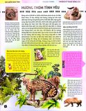 Sách 3D - Kết đôi & sinh sản