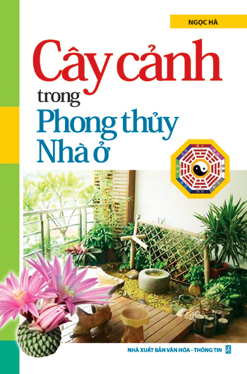 Cây cảnh trong phong thủy nhà ở