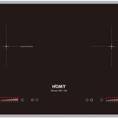 Bếp từ đôi HOMY HM – 196