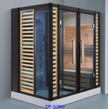 Phòng xông hơi khô kết hợp ướt DRW DR G 3880