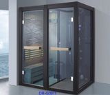 Phòng xông hơi khô kết hợp ướt DRW-DR G 3911